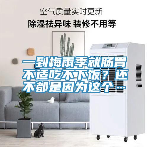 一到梅雨季就肠胃不适吃不下饭？还不都是因为这个…