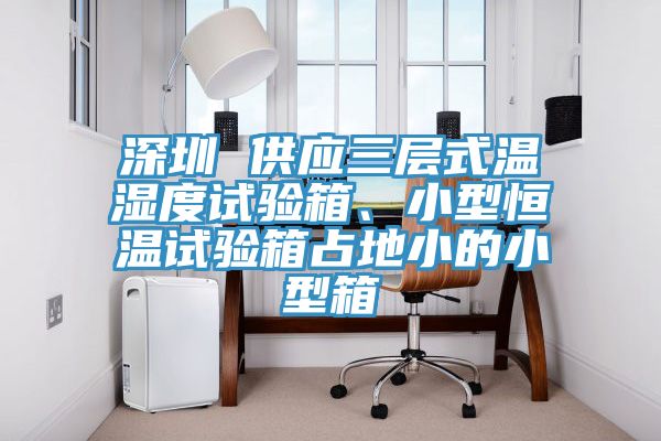 深圳 供应三层式温湿度试验箱、小型恒温试验箱占地小的小型箱