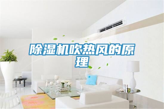 51漫画APP下载安装吹热风的原理