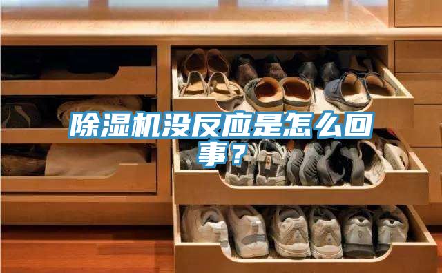 51漫画APP下载安装没反应是怎么回事？