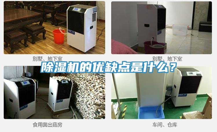 51漫画APP下载安装的优缺点是什么？