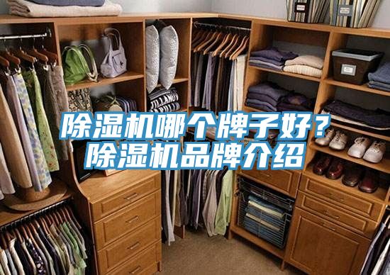 51漫画APP下载安装哪个牌子好？51漫画APP下载安装品牌介绍
