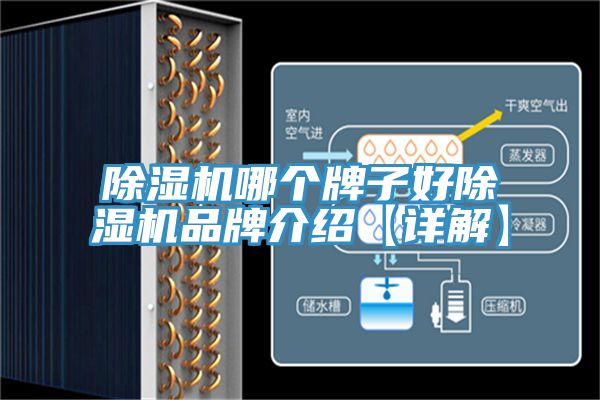 51漫画APP下载安装哪个牌子好51漫画APP下载安装品牌介绍【详解】