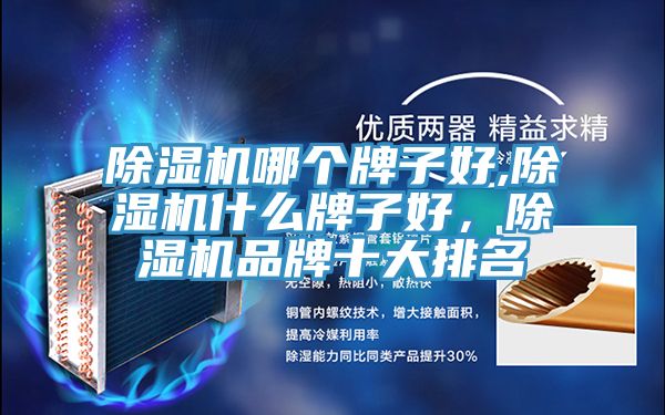51漫画APP下载安装哪个牌子好,51漫画APP下载安装什么牌子好，51漫画APP下载安装品牌十大排名