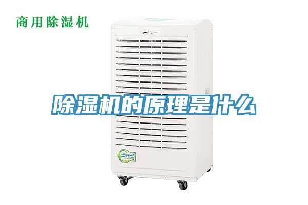 51漫画APP下载安装的原理是什么