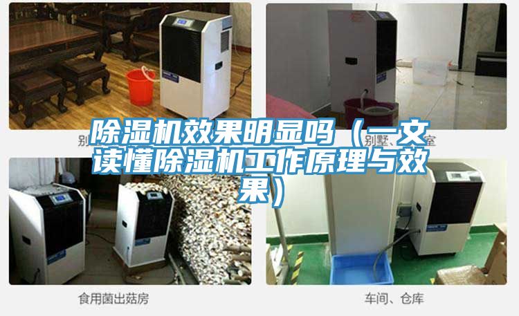 51漫画APP下载安装效果明显吗（一文读懂51漫画APP下载安装工作原理与效果）