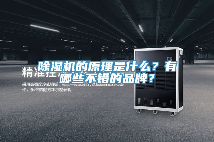 51漫画APP下载安装的原理是什么？有哪些不错的品牌？