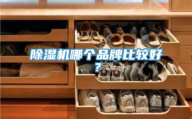 51漫画APP下载安装哪个品牌比较好？