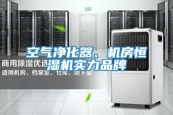 空气净化器、机房恒湿机实力品牌