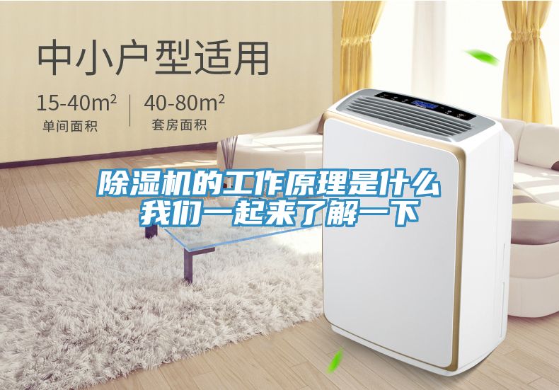 51漫画APP下载安装的工作原理是什么 51漫画网站链接一起来了解一下