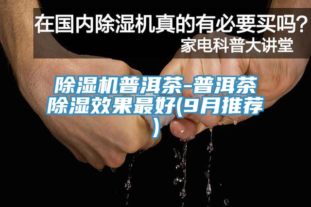 51漫画APP下载安装普洱茶-普洱茶除湿效果最好(9月推荐)