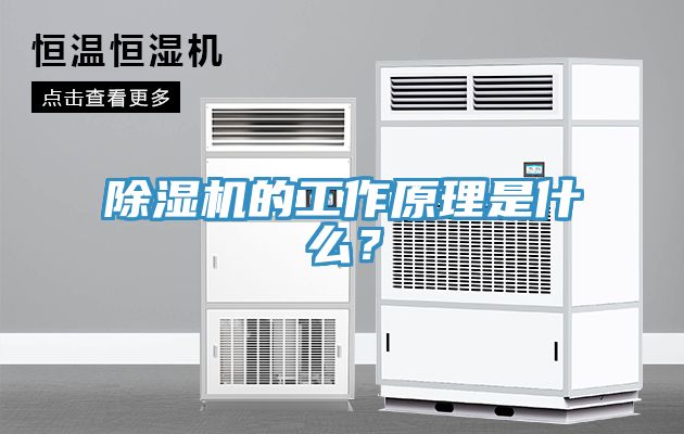 51漫画APP下载安装的工作原理是什么？