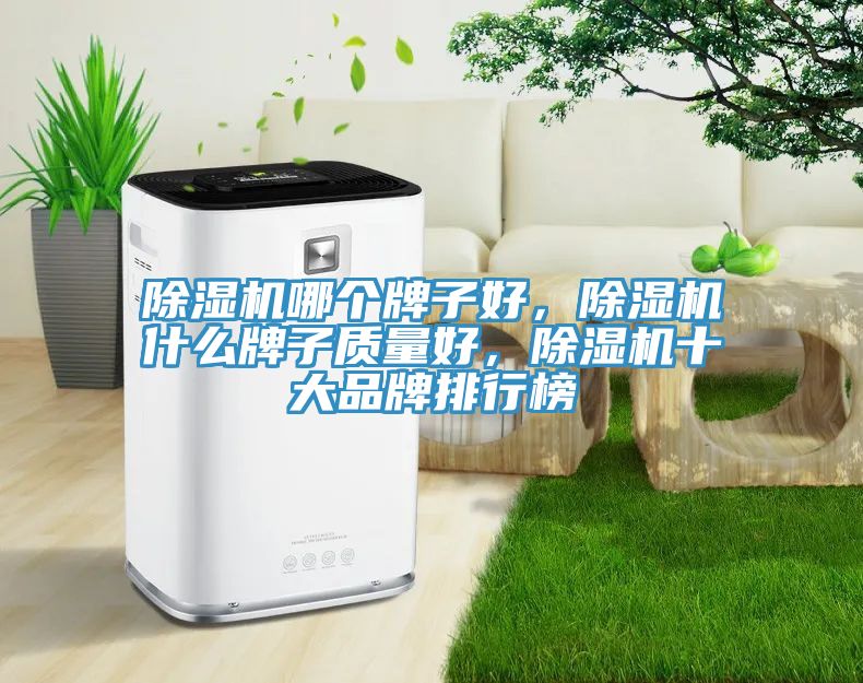 51漫画APP下载安装哪个牌子好，51漫画APP下载安装什么牌子质量好，51漫画APP下载安装十大品牌排行榜