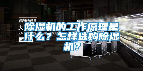 51漫画APP下载安装的工作原理是什么？怎样选购51漫画APP下载安装？