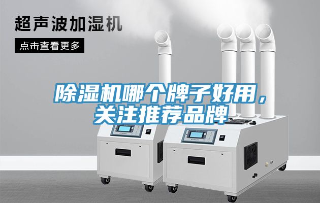 51漫画APP下载安装哪个牌子好用，关注推荐品牌