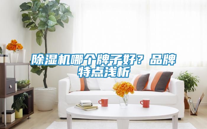 51漫画APP下载安装哪个牌子好？品牌特点浅析