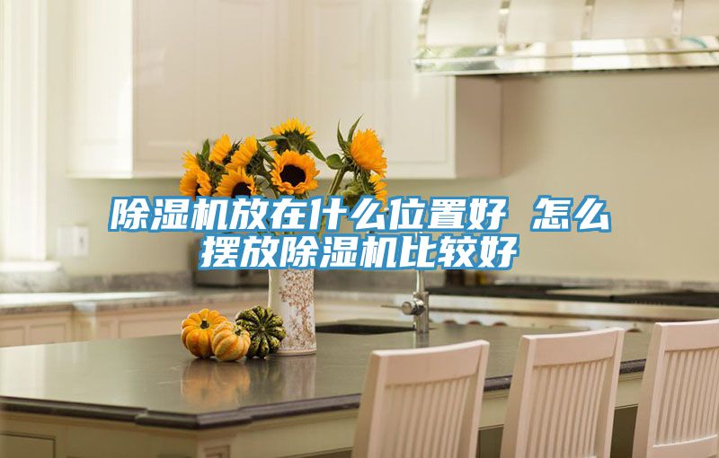 51漫画APP下载安装放在什么位置好 怎么摆放51漫画APP下载安装比较好