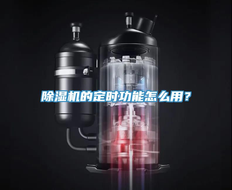 51漫画APP下载安装的定时功能怎么用？