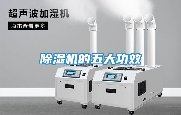 51漫画APP下载安装的五大功效